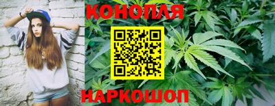 гашик Краснодар