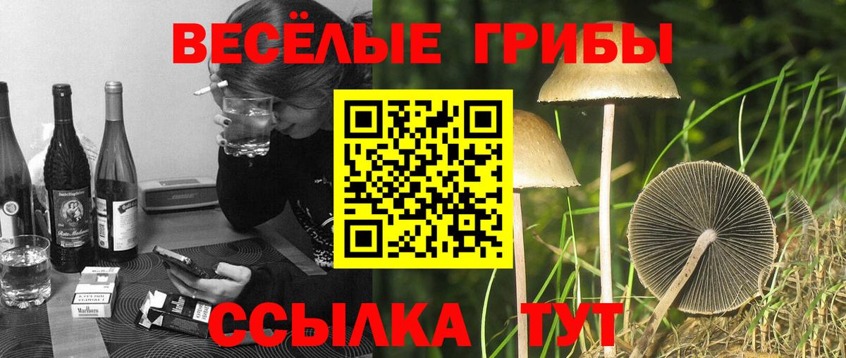 Галлюциногенные грибы мицелий  Вход с VPN  Уссурийск  Галлюциногенные грибы ЛСД 